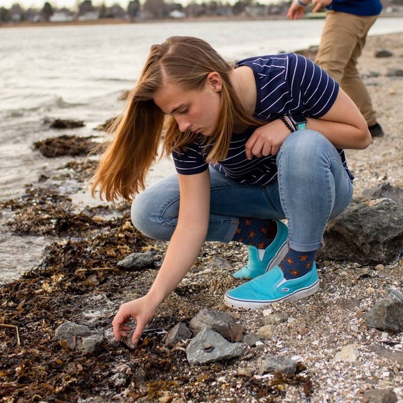 Meet your Posher, Riley - Picture 1 of 1